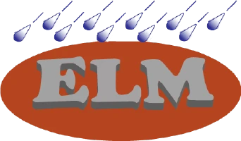 logo mini